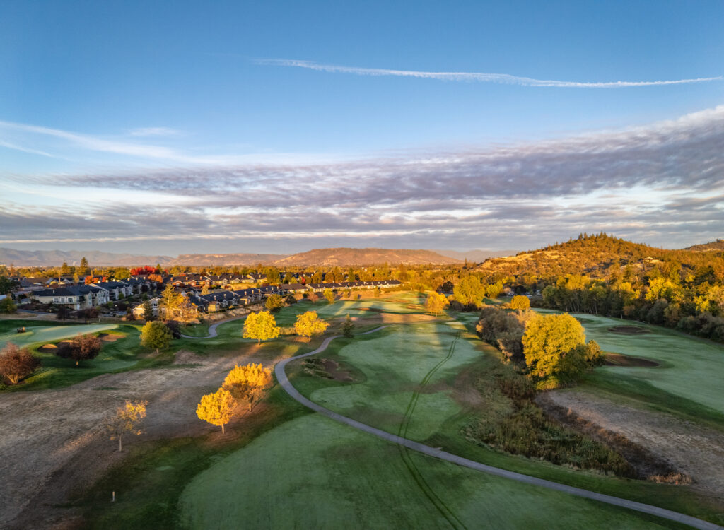 Yellow trees on golf course