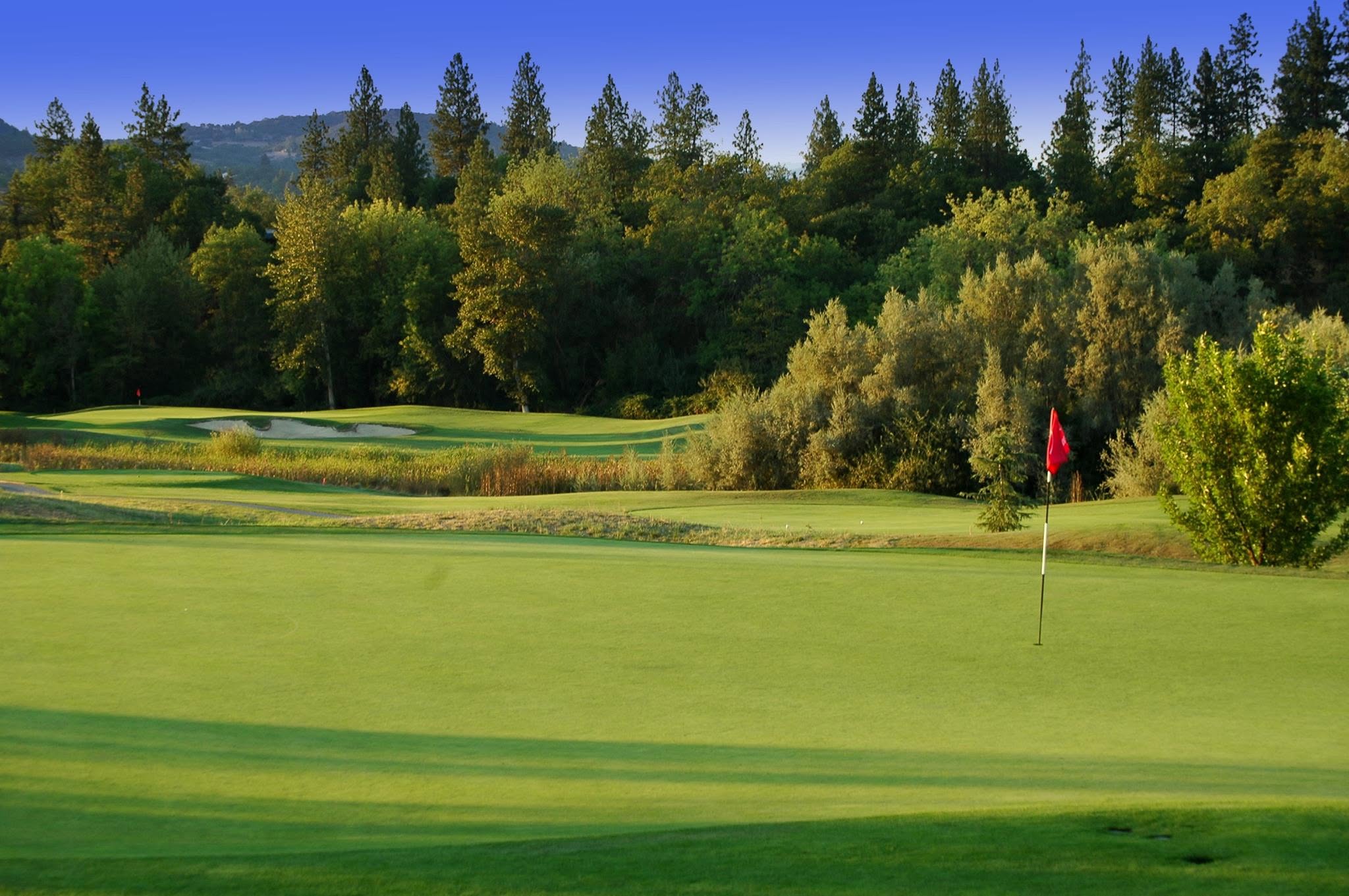 Golf course green with red flag over the hole