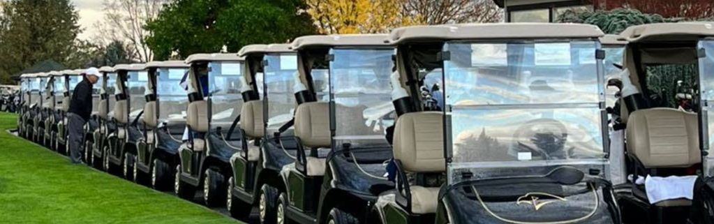 Golf carts